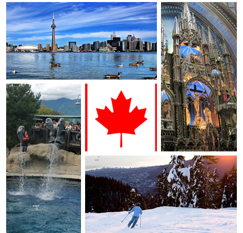 加拿大留学移民之选PR枫叶卡还是入加籍