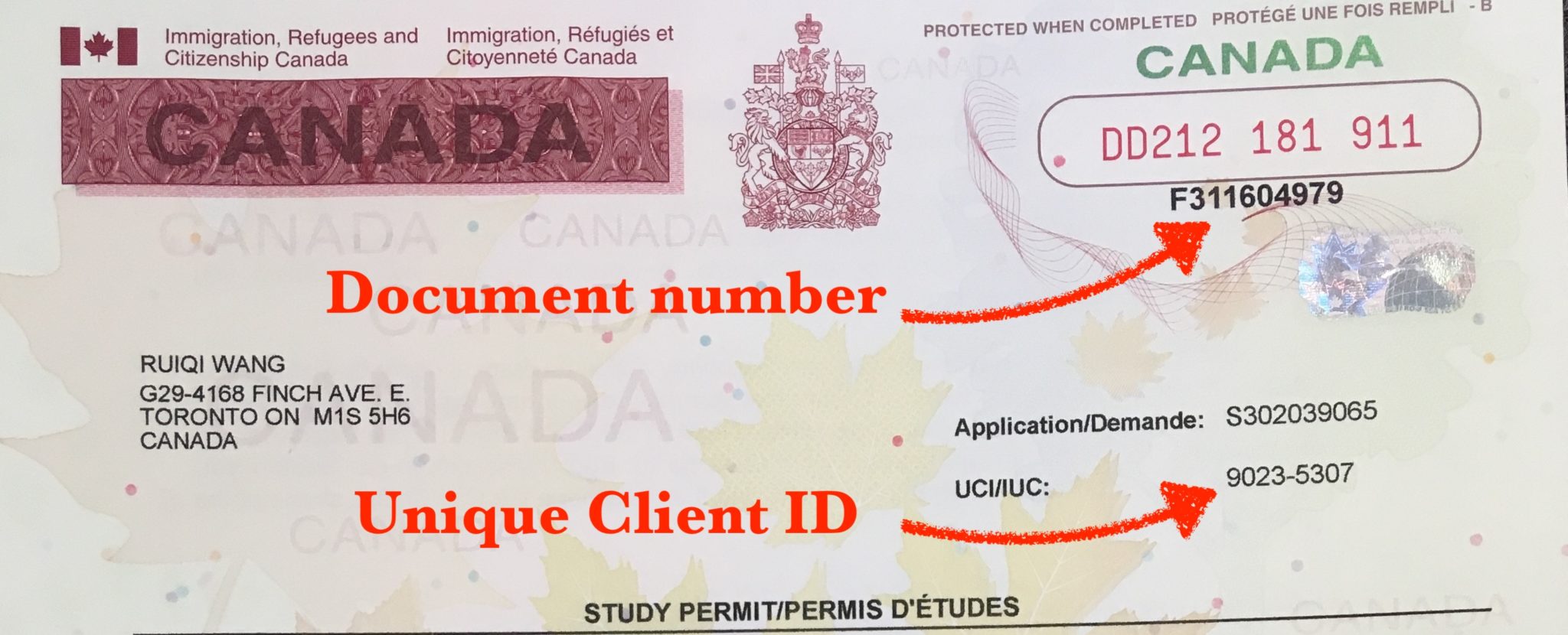 学习许可证上的Client ID